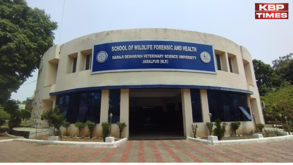 गोबर-गौमूत्र रिसर्च के नाम पर करोड़ों का खेल