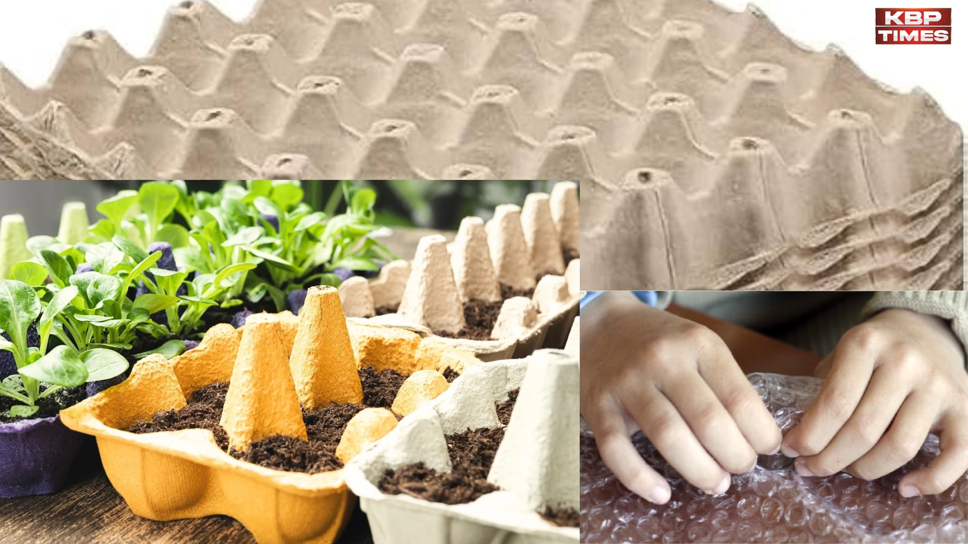 packaging waste to reuse