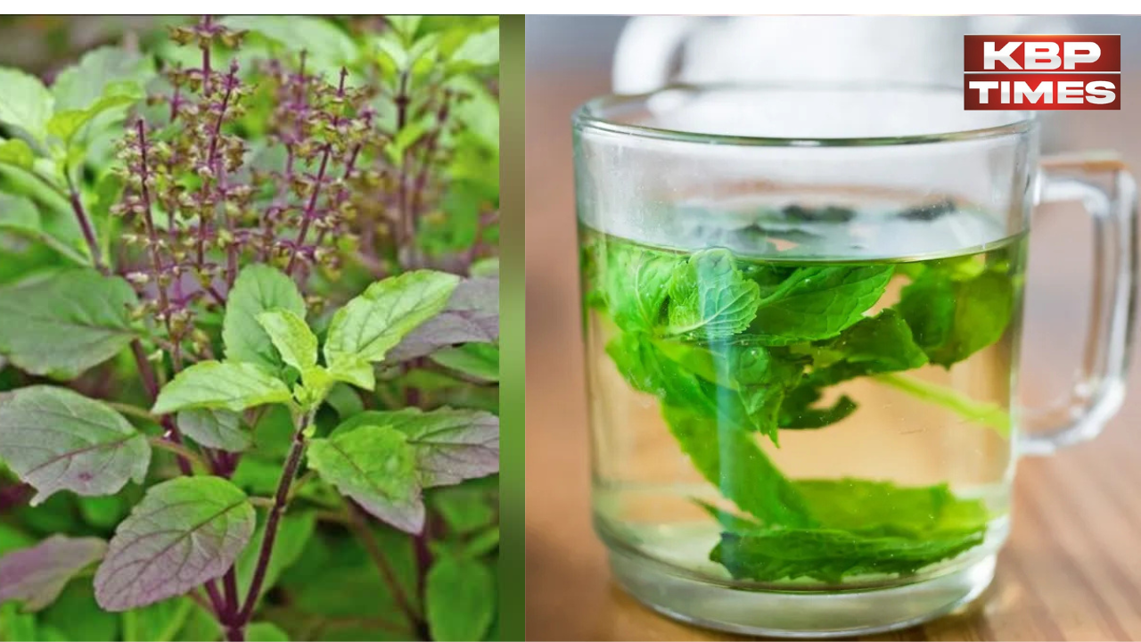 Tulsi ka pani health