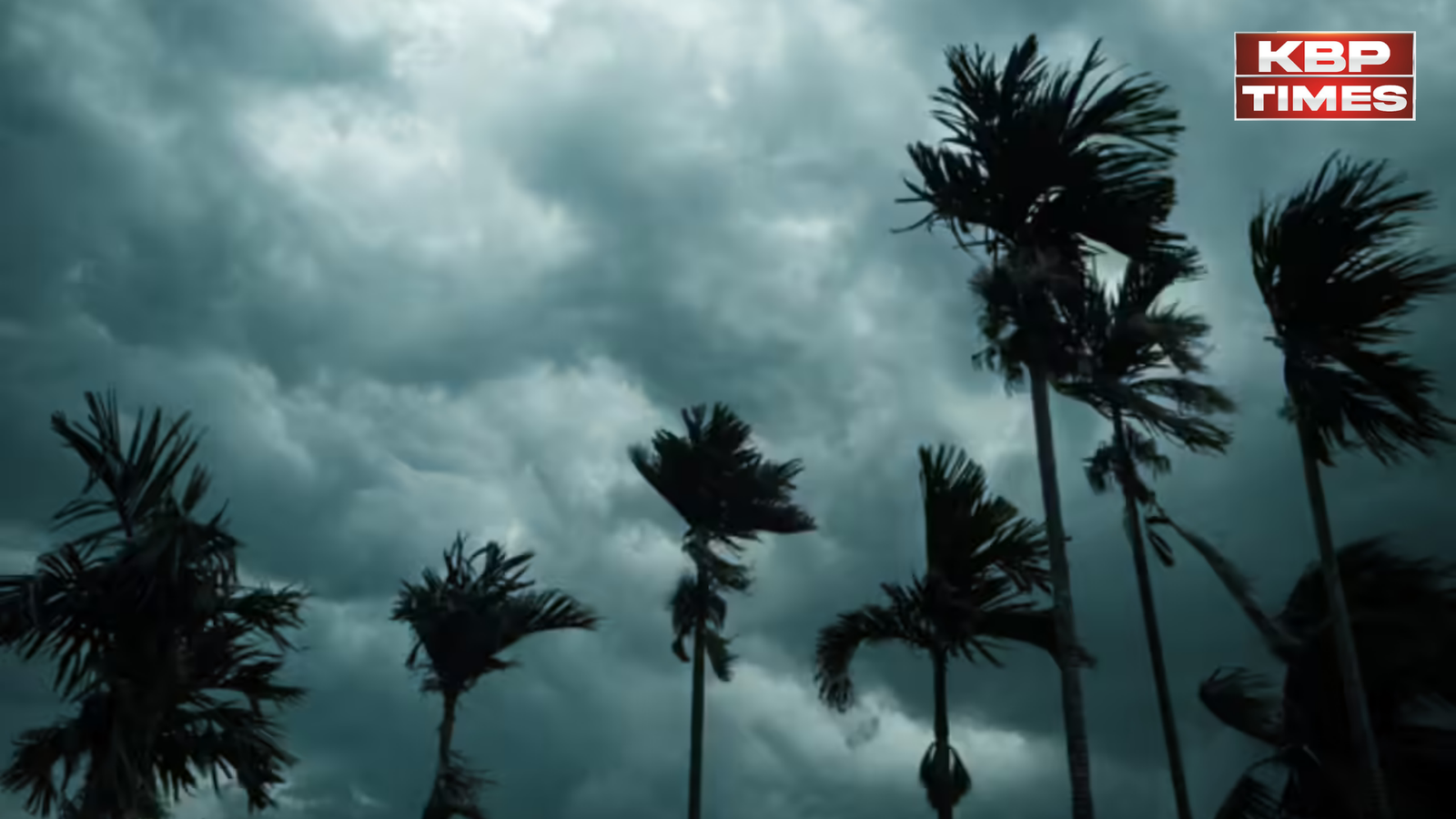 weather report