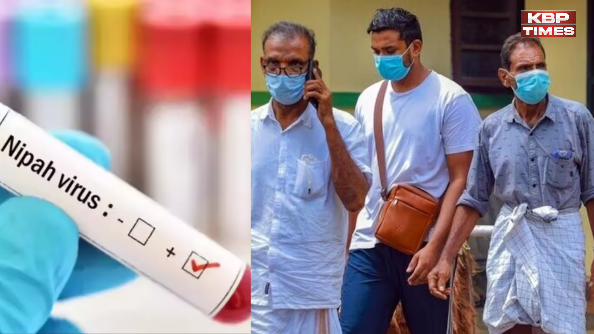 Nipah virus find