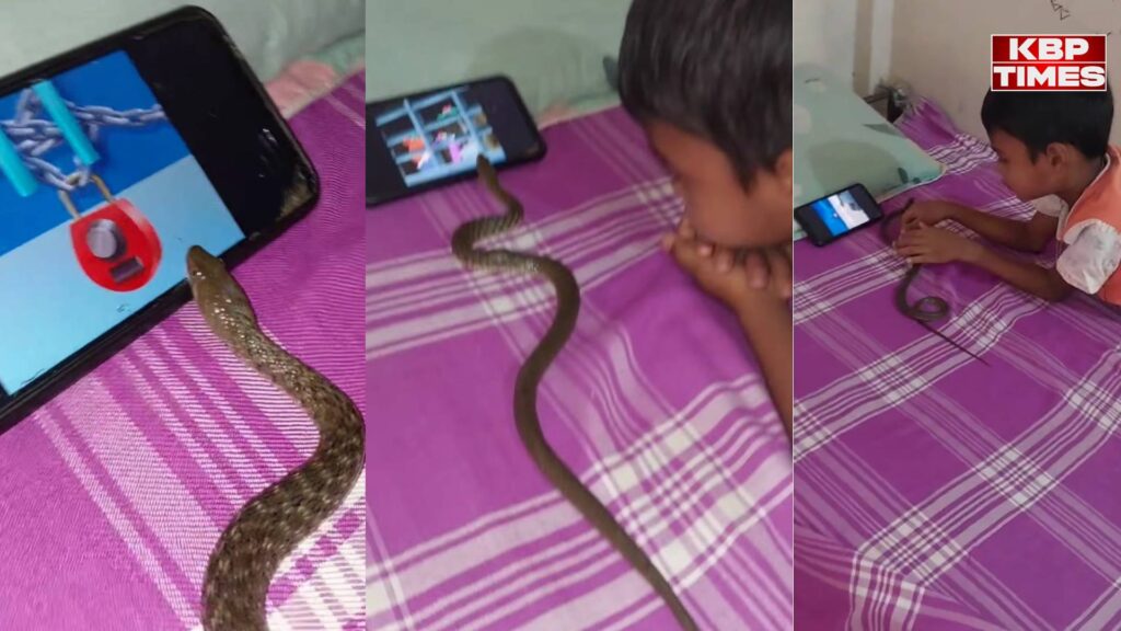 Viral Video