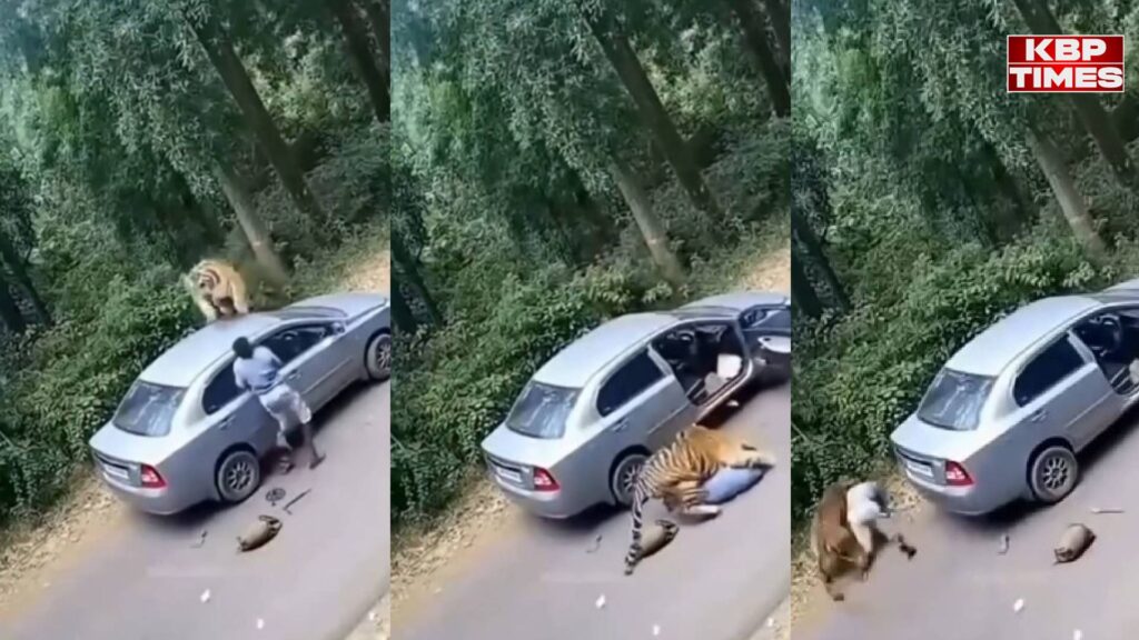 Viral Video