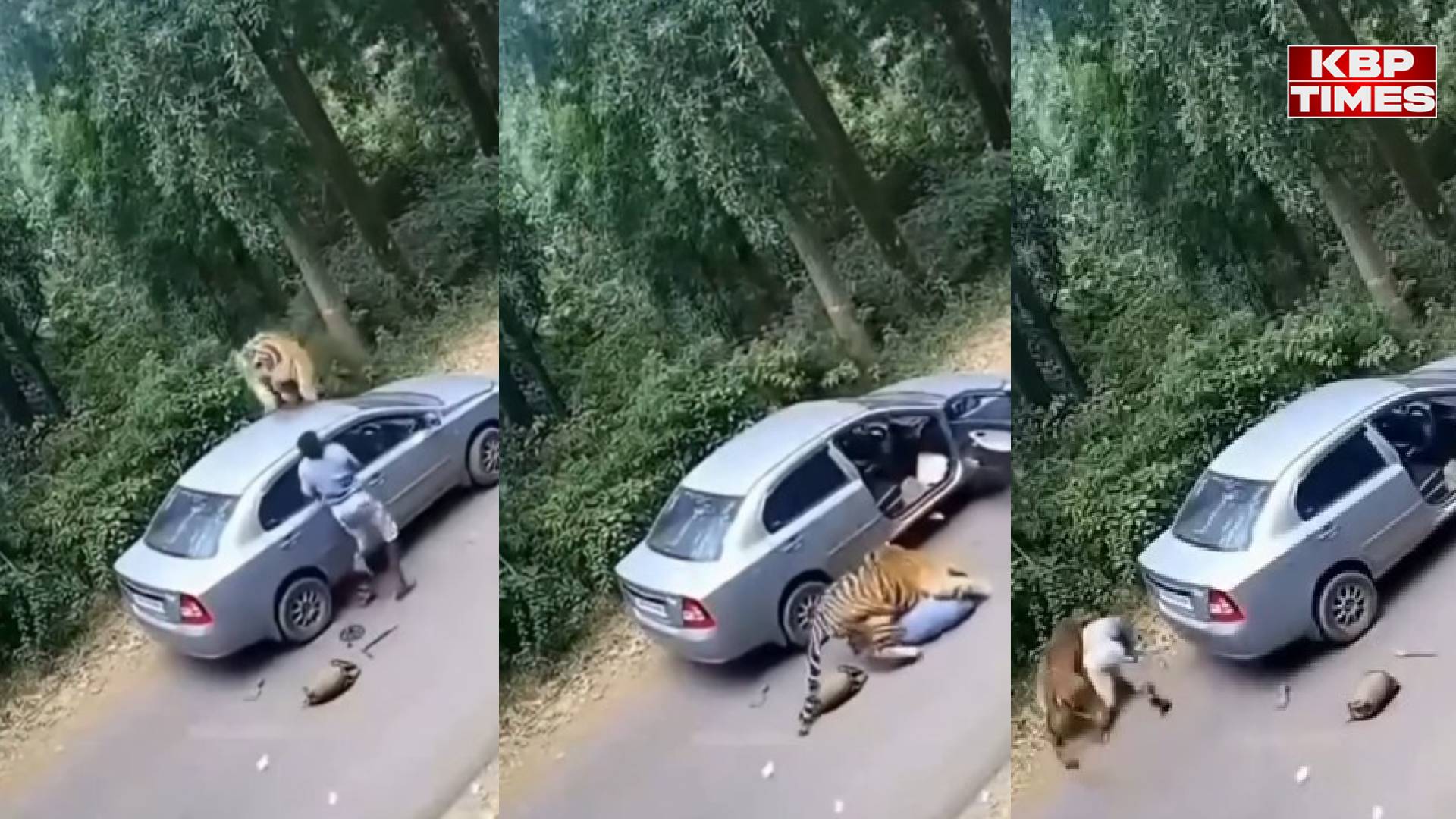 Viral Video