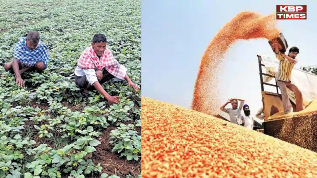 farmers and moong