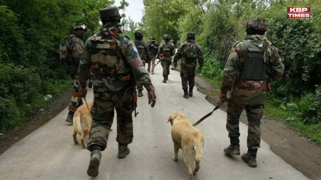 Search Operation